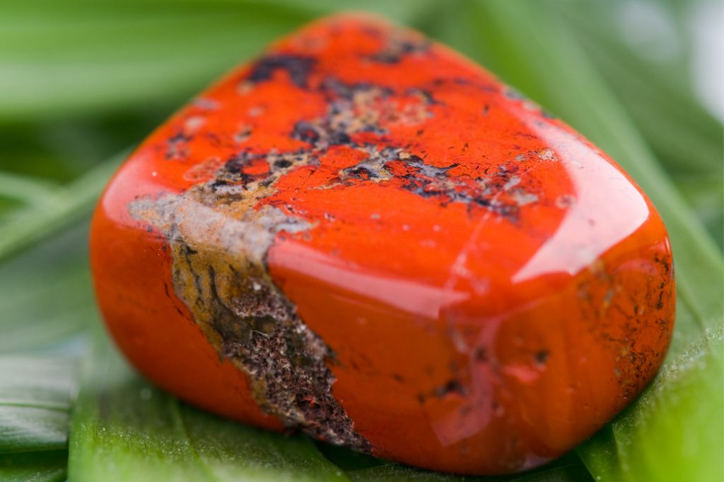 red jasper situated on top of green leaves