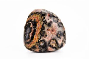 leopard jasper on white background