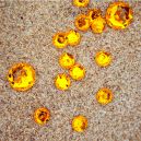 yellow topaz on sand