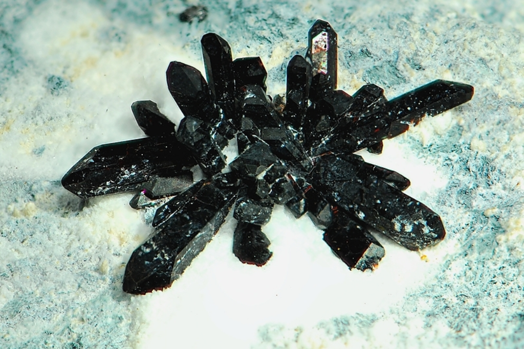 Black Neptunite